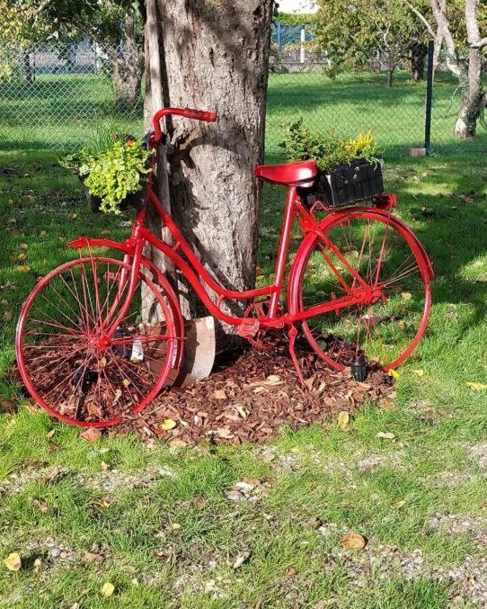 Gite Au Pommier Fleuri Et Son "Appart" Independant Drusenheim Exteriör bild