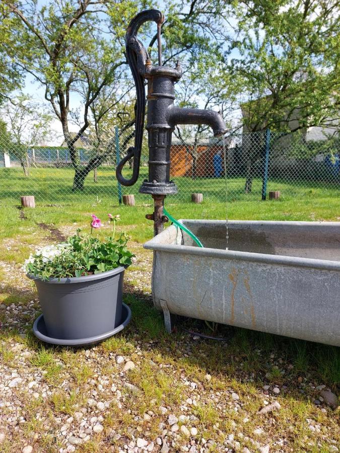 Gite Au Pommier Fleuri Et Son "Appart" Independant Drusenheim Exteriör bild
