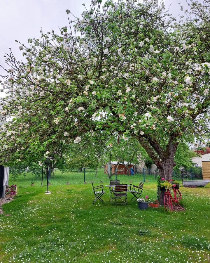 Gite Au Pommier Fleuri Et Son "Appart" Independant Drusenheim Exteriör bild