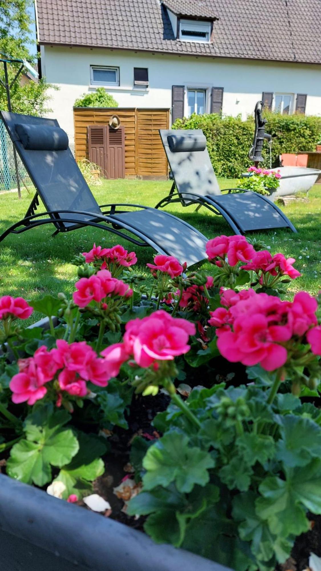 Gite Au Pommier Fleuri Et Son "Appart" Independant Drusenheim Exteriör bild