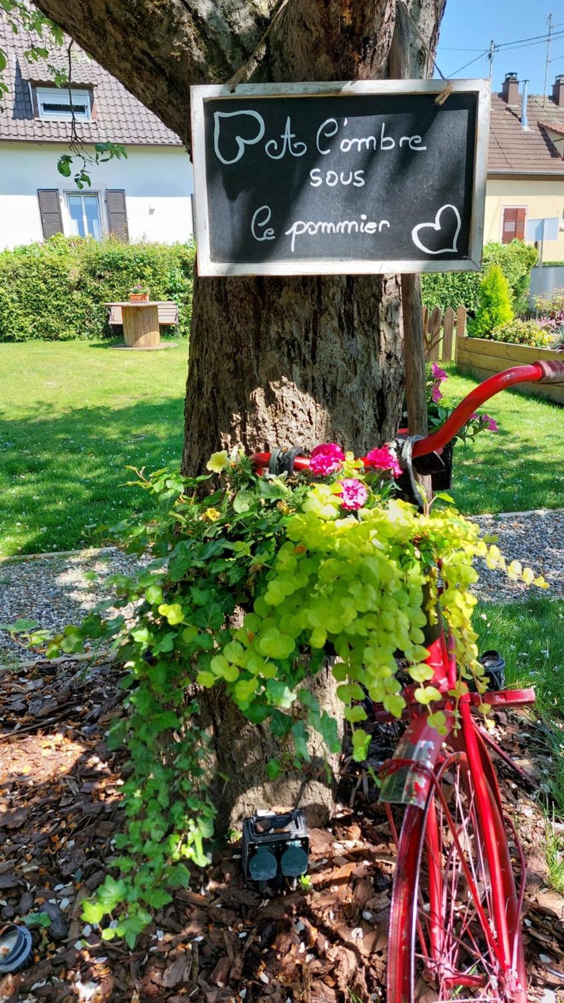 Gite Au Pommier Fleuri Et Son "Appart" Independant Drusenheim Exteriör bild